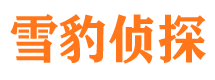 大渡口市侦探公司